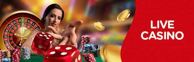 554bet প্ল্যাটফর্মে চার্জ বাফেলো গেমের বিশেষ বোনাস রাউন্ড
